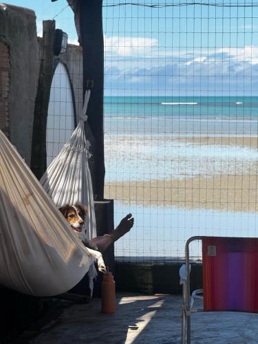 Guaecá Hostel - Cumuruxatiba (Guaeca Hostel - Cumuruxatiba) in 庫穆魯薩迪巴