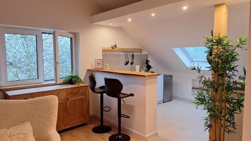 Ferienwohnung Vulkaneifel in 德賴布呂克