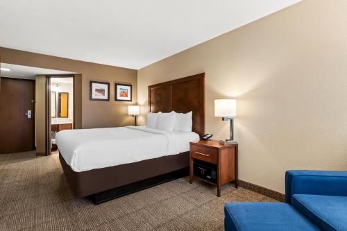 Comfort Inn & Suites Albuquerque Downtown - image 6