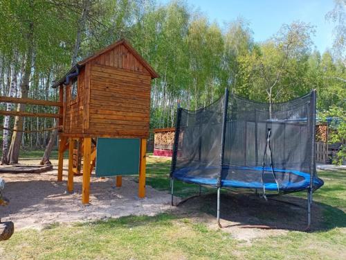 BRZOZOWY GAJ AGROTURYSTYKA in Jedlanka Stara