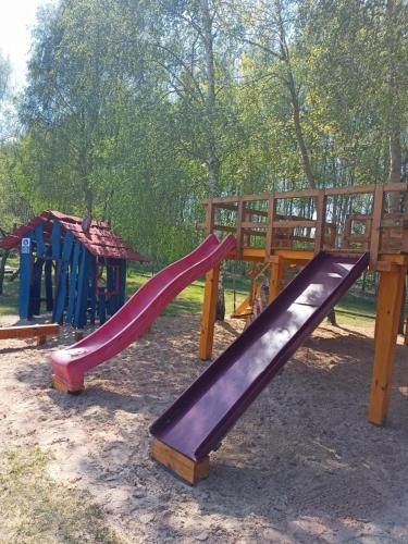 BRZOZOWY GAJ AGROTURYSTYKA in Jedlanka Stara
