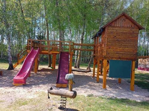 BRZOZOWY GAJ AGROTURYSTYKA in Jedlanka Stara