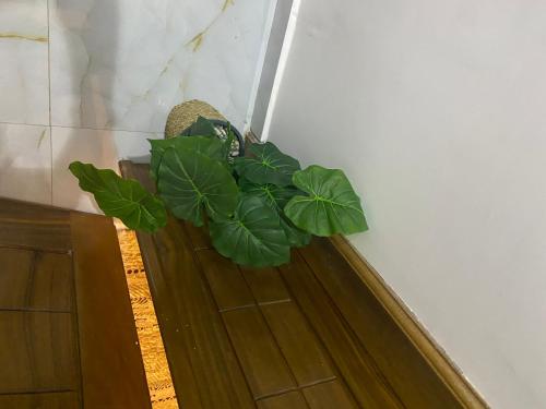 La gloire House in Hann Bel-Air