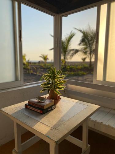 Cabin in front of the surf spot in Caleta De Campos