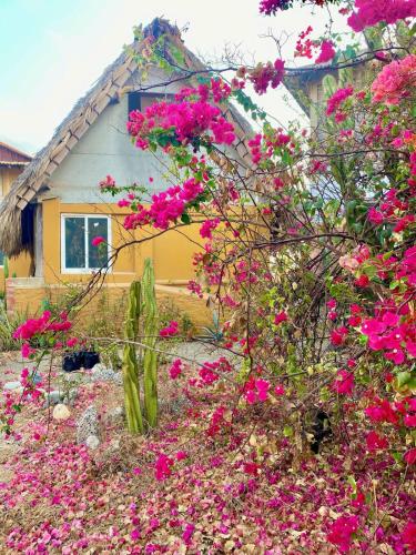 Cabin in front of the surf spot in Caleta De Campos