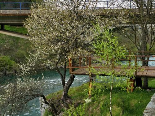 Tara Riverside - image 12