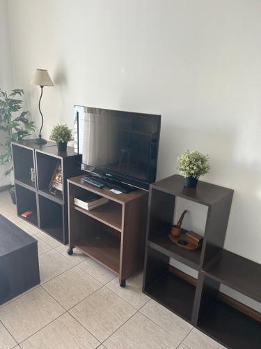 One-Bedroom Apartment image 8