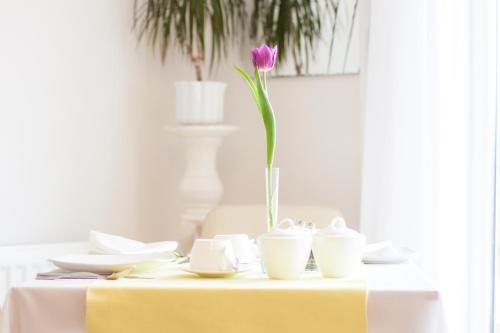 Padstow Bed & Breakfast - image 10