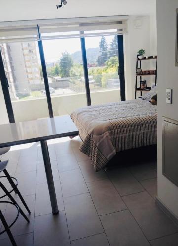 Cozy and modern studio in Temuco