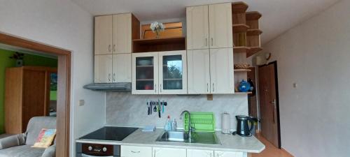 Apartmán Kováčová - The Apartment in spa village (Apartman Kovacova - The Apartment in spa village) in Kovacova
