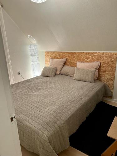 Amazing Svendborg Amazing Svendborg