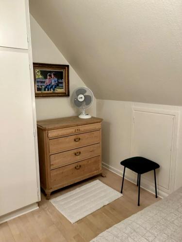 Amazing Svendborg Amazing Svendborg