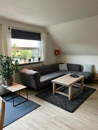 Amazing Svendborg Amazing Svendborg