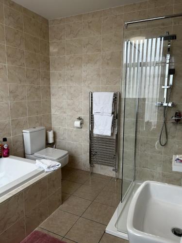 Deluxe King Room image 1