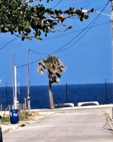 Cabrera 6 in Cabrera