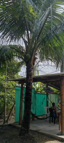 OCEANSURF hotel in Mompiche