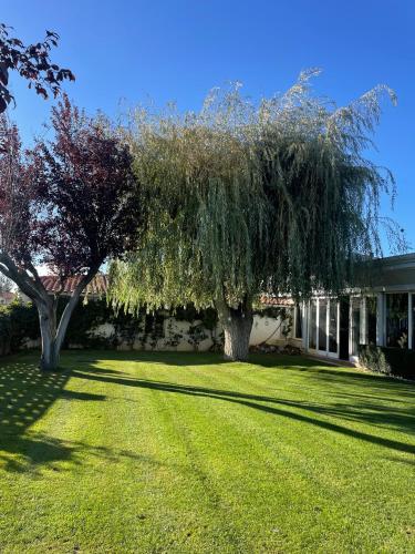 Hotel Valjunco - image 6