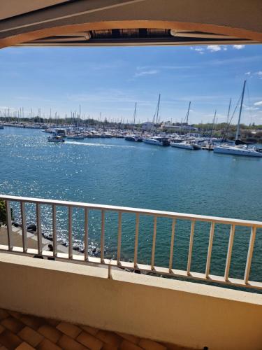 Surrounding environment, Studio les pieds dans l'eau near La Cabane du Cap