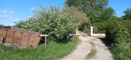 Chambre d'hôte Vaccarès Chambre d'hôte Vaccarès