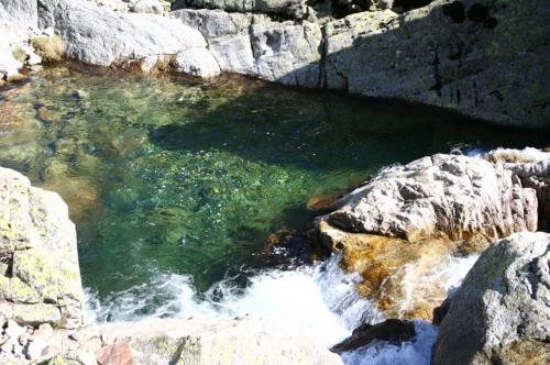 Hostal Rural los Alisos in Navalonguilla