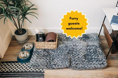 Carter Jack Suite B Fire Pit Dog Friendly Carter Jack Suite B Fire Pit Dog Friendly