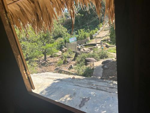 Surrounding environment, Suoi Rong FarmStay in Dan Kia