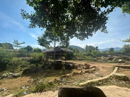 Nearby attraction, Suoi Rong FarmStay in Dan Kia
