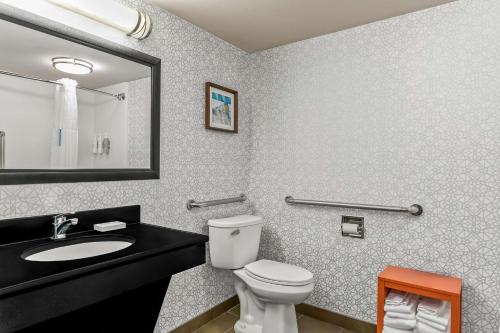 Hampton Inn Bowie - image 12