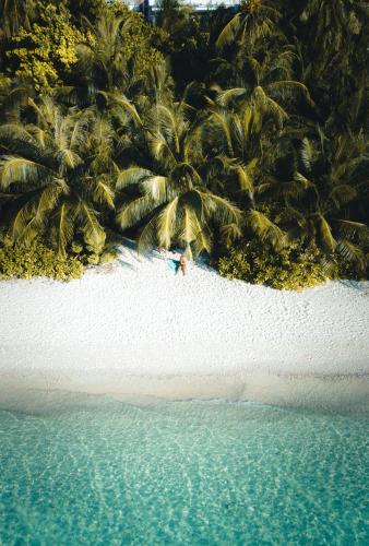 Beach, Muraka Dhigurah in South Ari Atoll