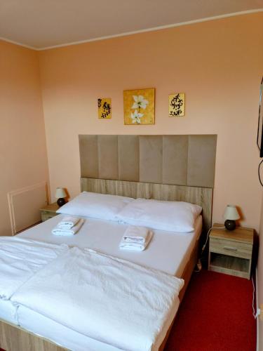 Restaurace-Pension-Vinařství U Šťastných (Restaurace-Pension-Vinarstvi U Stastnych) in Milotice