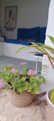 Iekārtas, La paillote des Ninous in Bassan