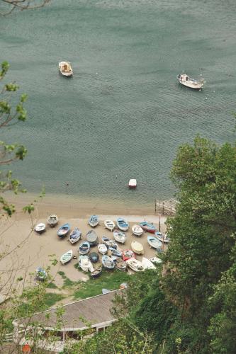 安久丽列里大酒店 安久丽列里大酒店