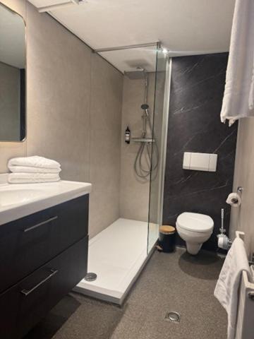 聚特芬格雷芬霍夫罕布什尔酒店 聚特芬格雷芬霍夫罕布什尔酒店