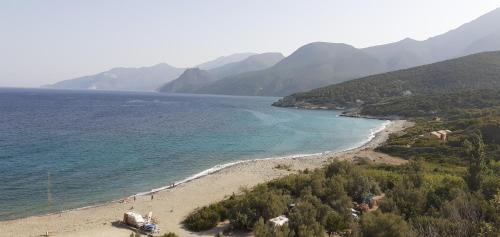 Cap Corse - Maison à 500m de la plage - Logement entier (Cap Corse - Maison a 500m de la plage - Logement entier) in Olmeta-di-Capocorso
