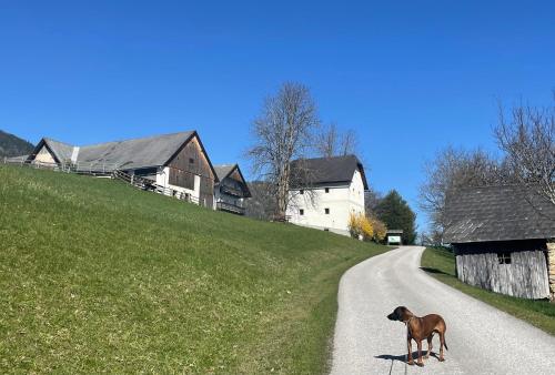 外部景觀, Ferienhof Zamsegg in 福德爾施托德爾