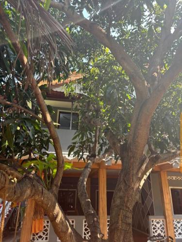 Enoch Guest House in Mannar