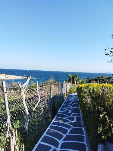 Kynosoura's sea view in Spithari