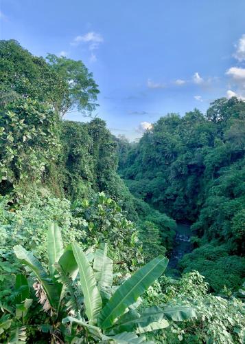 Ubud Jungle River, Ubud