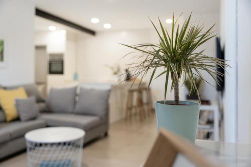 El Rincón House Tenerife Tijoco El Rincón House Tenerife Tijoco