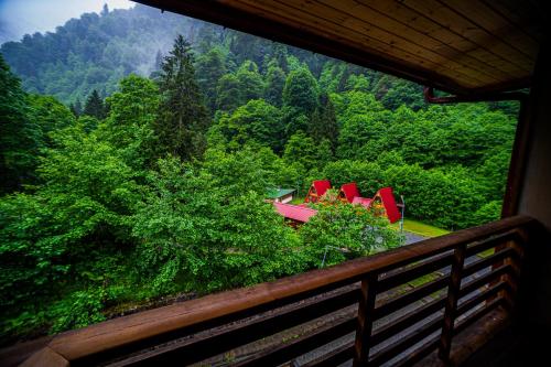 Kackar Resort Hotel - image 7