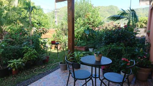 Hébergement-Joli T2-60m2-Terrasse-Jardin - Location saisonnière - Entre-Deux
