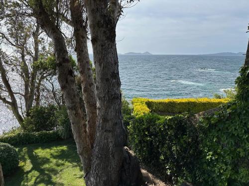 Precioso estudio en primera línea frente a las islas Cíes