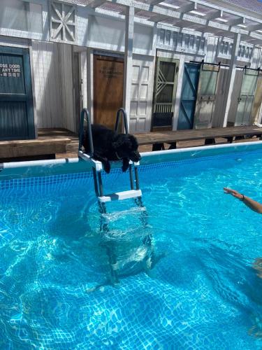 Drive in Ichinomiya motel