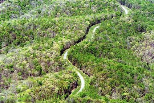 Wonderful Cottage with Fire Pit and Barbecue in Franklin, Tennessee