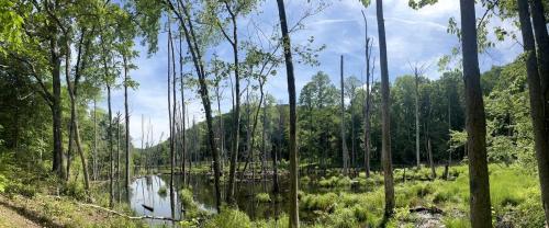 Fantastic Cottage with Hot-tub and Stunnnig Views in Franklin, Tennessee
