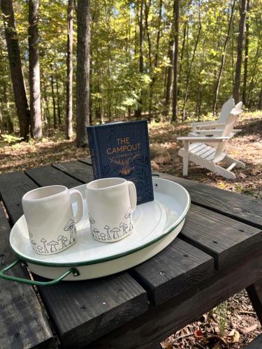 Spacious Equipped Bell Tent with Deck, Fire Pit and Picnic Space in Tennessee in Coopertown (TN)