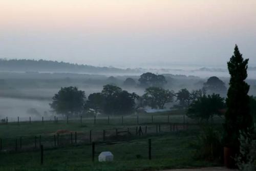 Pet-Friendly Accommodation on a Ranch in McDade, Texas in 埃爾金