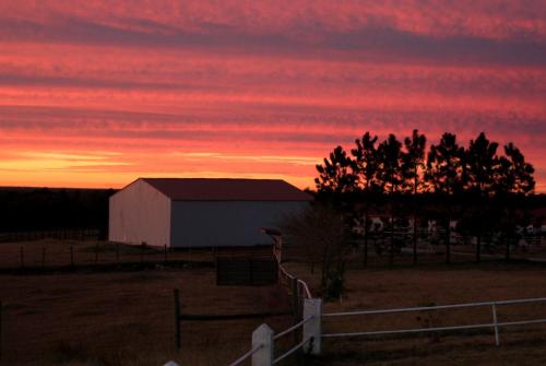 Pet-Friendly Accommodation on a Ranch in McDade, Texas in 埃爾金