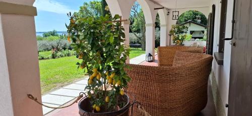 La Kascina Suite & Rooms 5