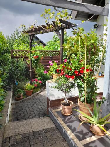 A szálláshely kívülről, FeWo Karola in Ellenz-Poltersdorf